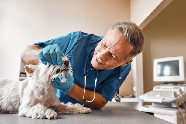  Floresville, TX Emergency Dentist Pros